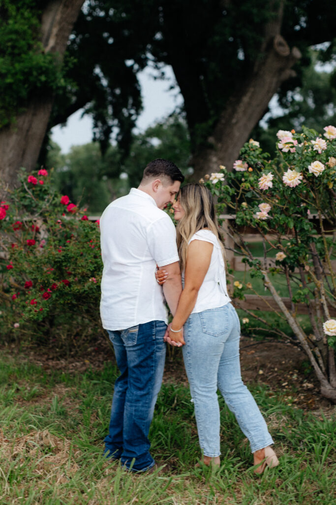 Lodi engagement session | couple with rose bushes