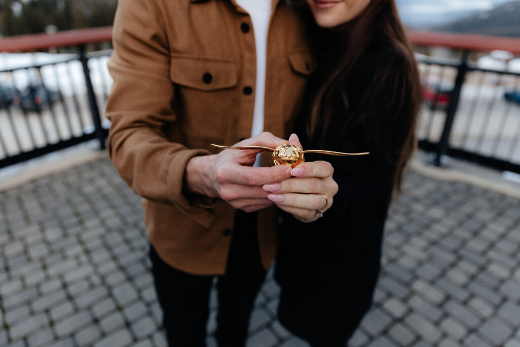 Coeur d'Alene Surprise Snow Proposal