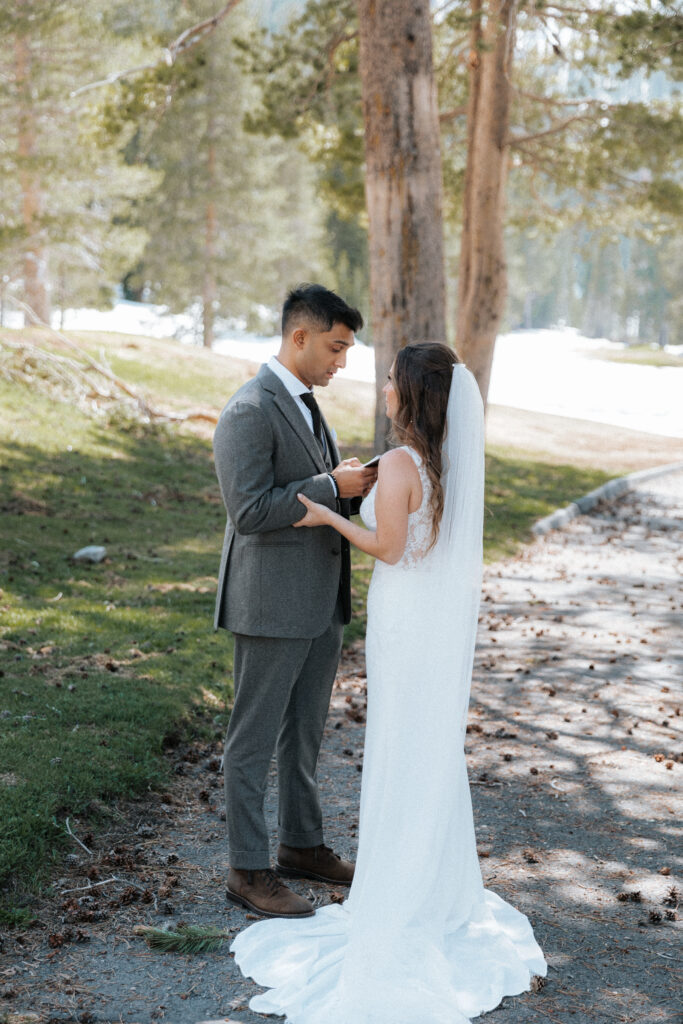 Bride and Groom Lake Tahoe Portraits