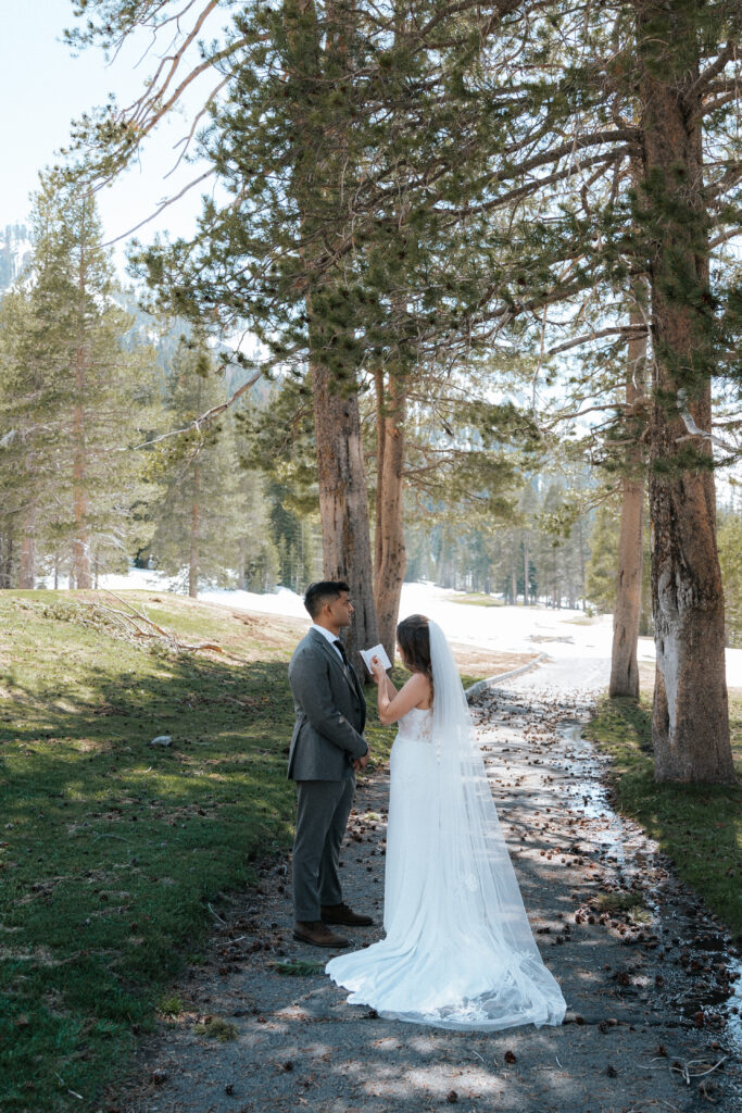 Bride and Groom Lake Tahoe Portraits