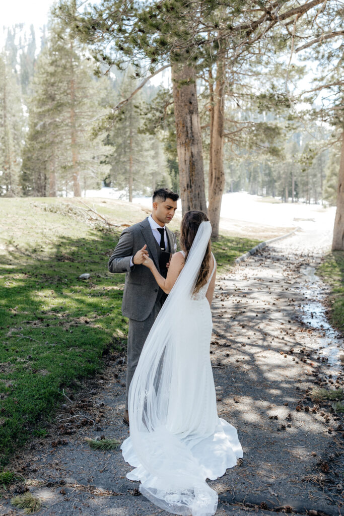 Bride and Groom Lake Tahoe Portraits