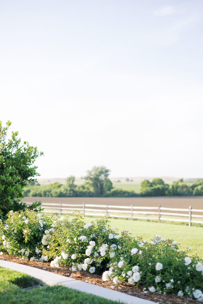 Carter Valley Ranch wedding Couple's portraits