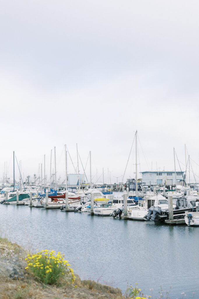 Half Moon Bay Elopement Reception