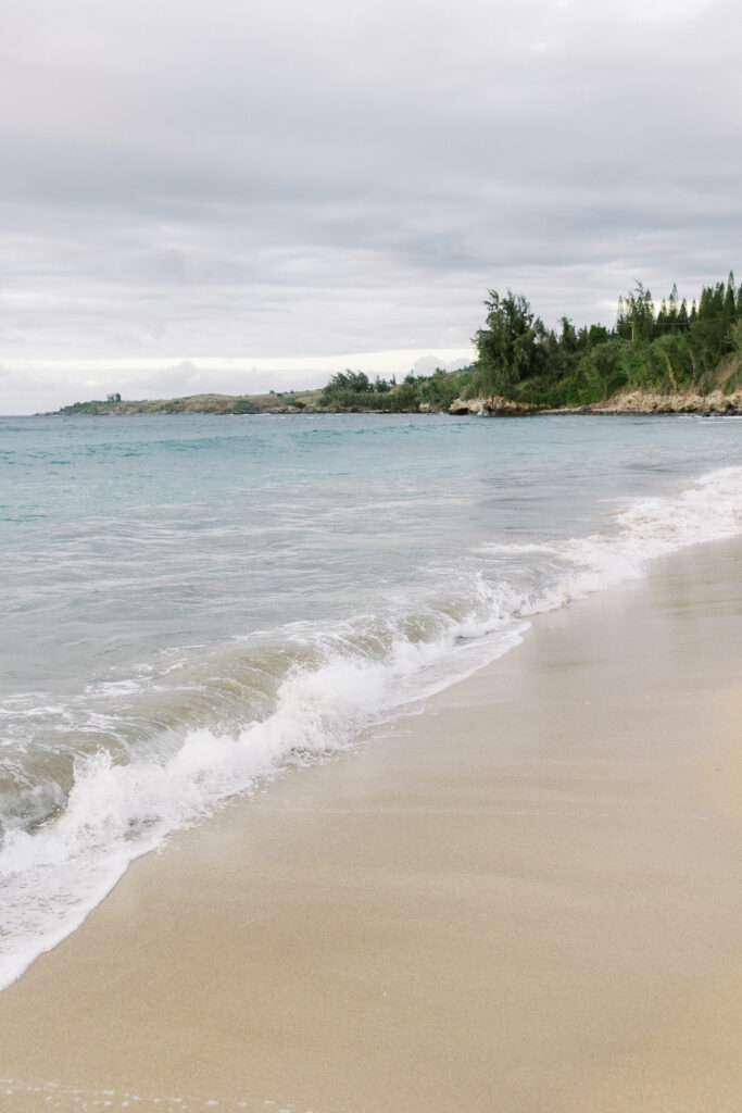 Maui Hawaii Engagement Photos