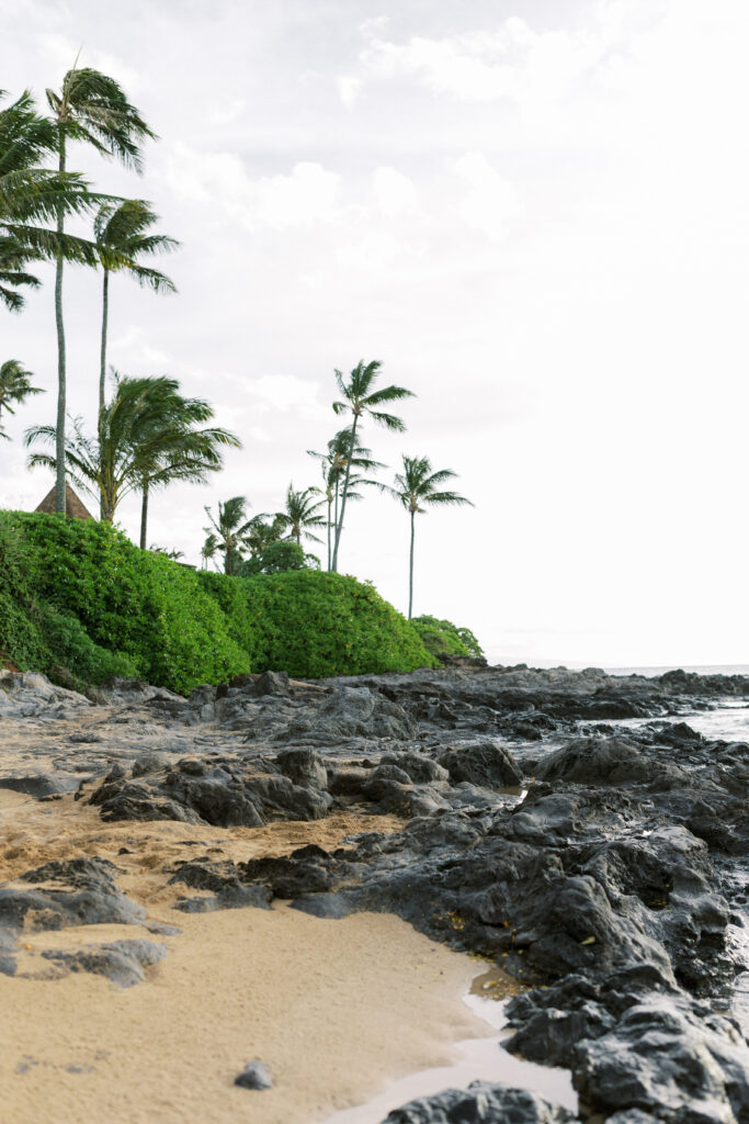 Maui Wedding photographer